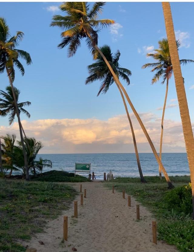 Praia Do Forte- Iberostar- Ap Luxuoso 3 Qts มาตา เด เซาโจเอา ภายนอก รูปภาพ
